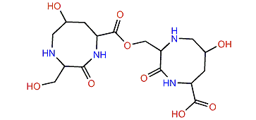 Bufogargarizanine C